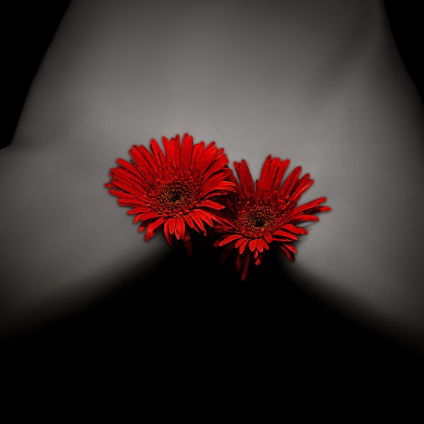 Two red flowers on a woman's mid torso against a black background.