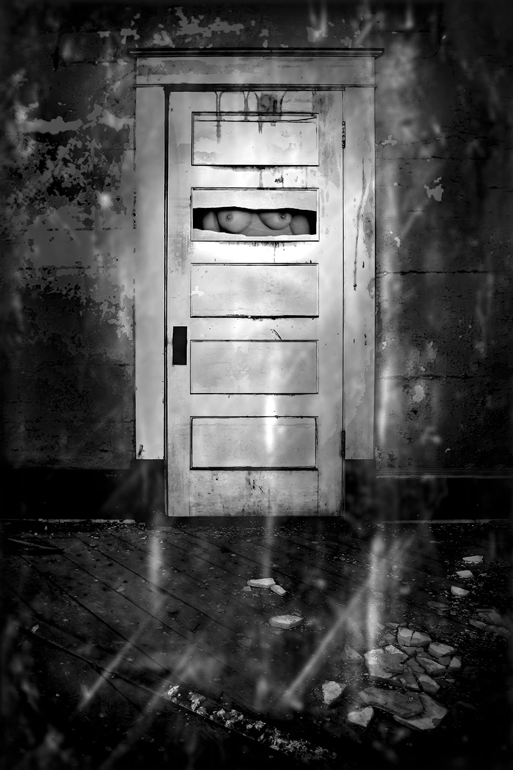 A black and white photo of a door with a naked woman's breasts in a broken door panel.