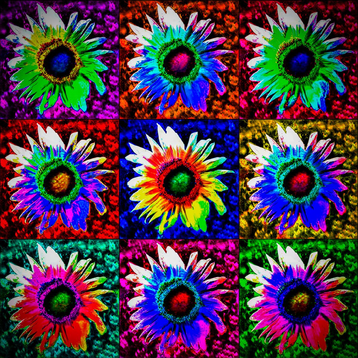 A montage of colorful flowers shown in a square pattern.