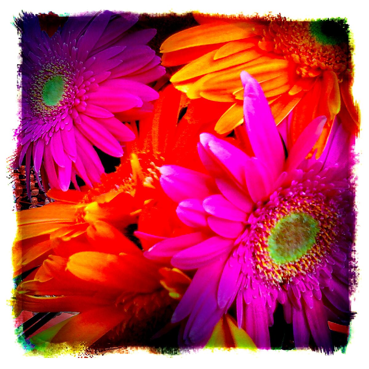 A colorful flower arrangement.
