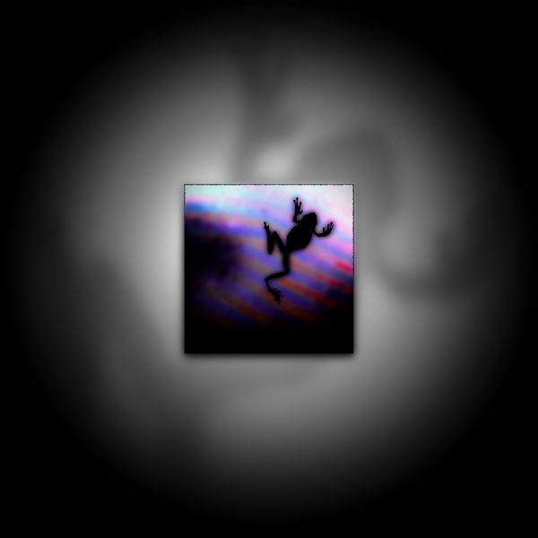 A color photo of a silhouetted frog crawling on a screen.