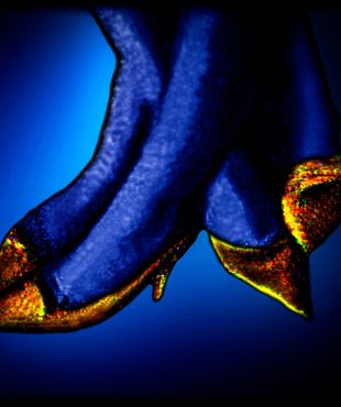 Two pairs of gold shoes.