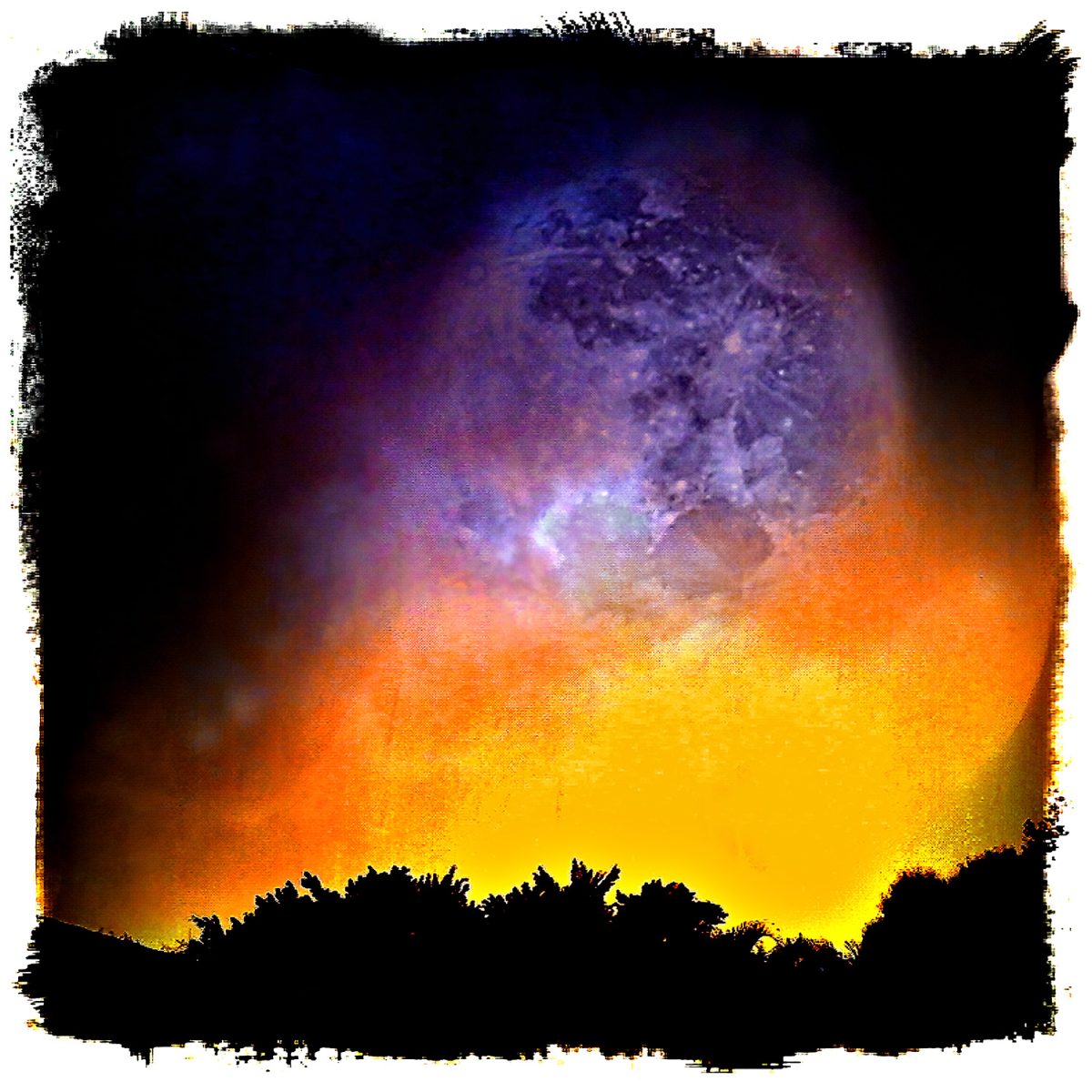 A full moon in the sky with trees in the background.