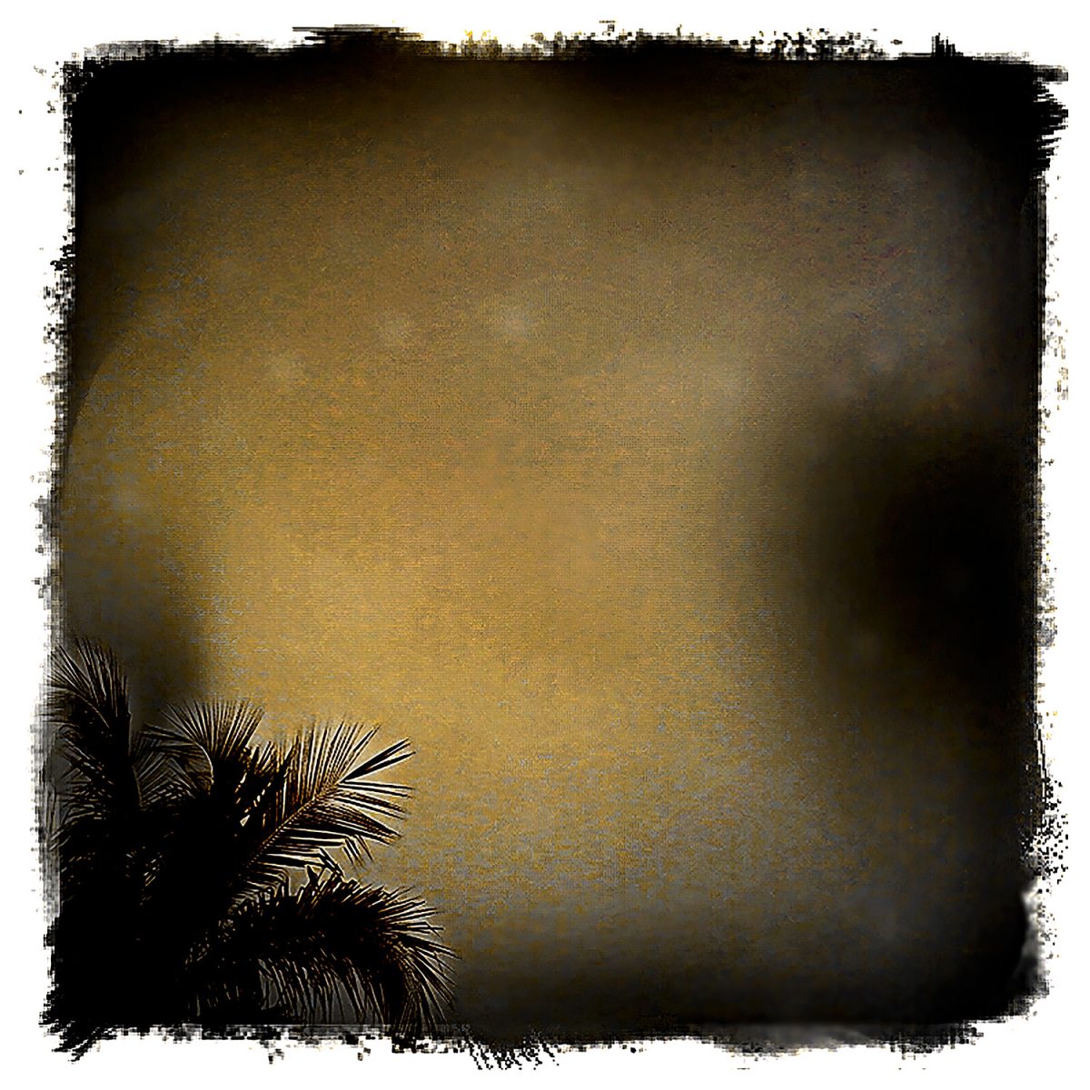 A picture of a palm tree poking in from the corner of the frame.
