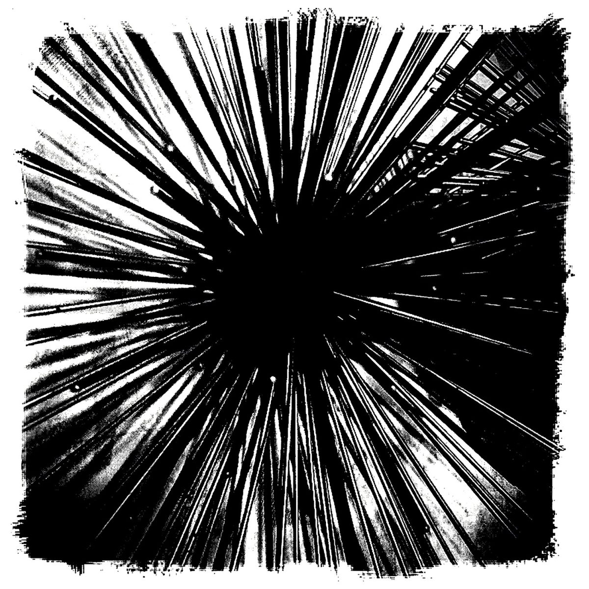 A black and white photo of a spiny object.