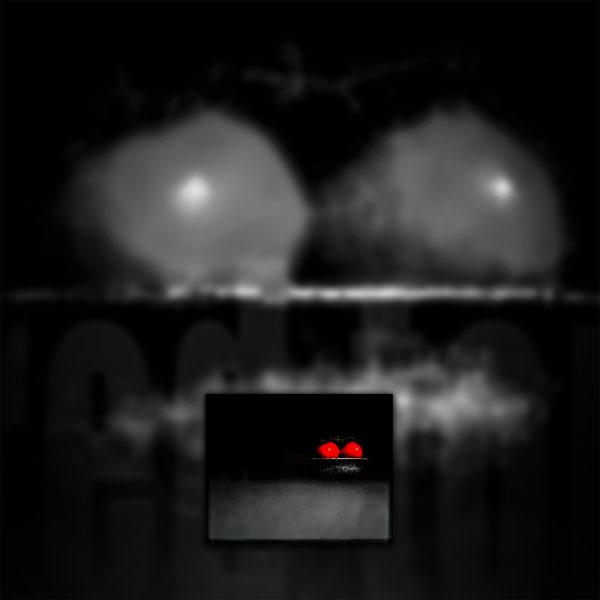 A bowl of tomatoes on a gray foreground.