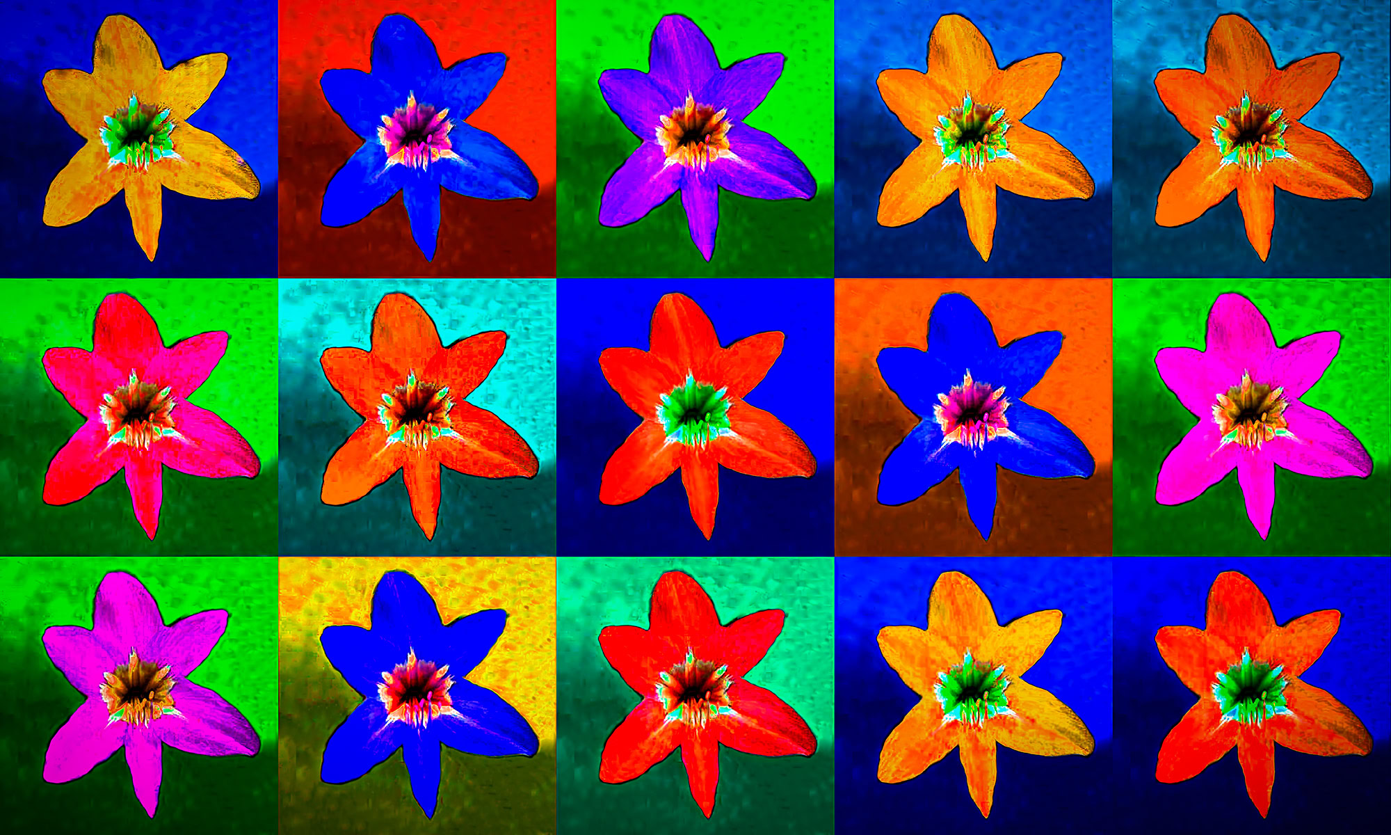 A colorful flower montage.
