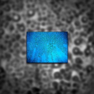 A blue and black photograph of water droplets on glass with a darker background.