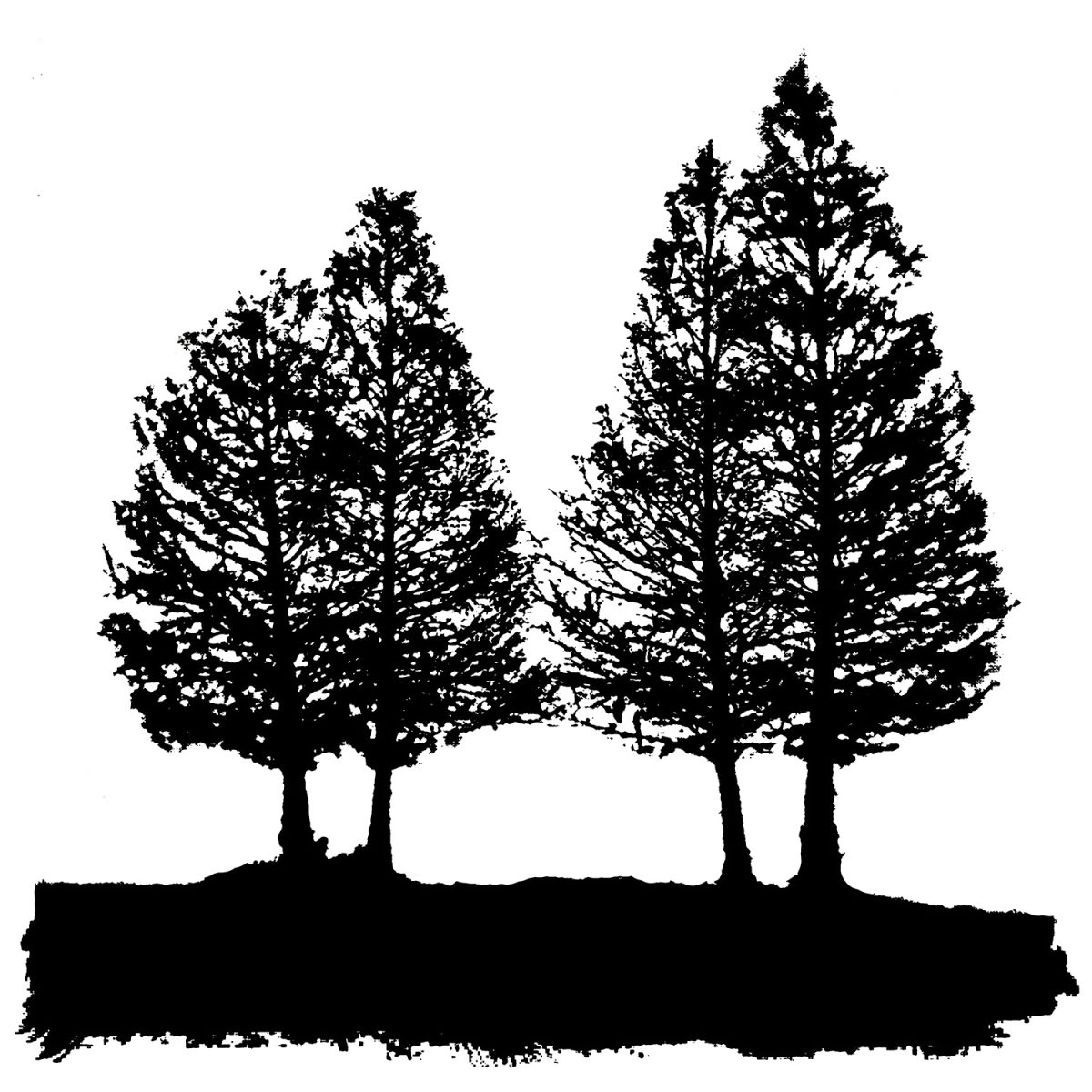 Silhouette of three trees on a hill.