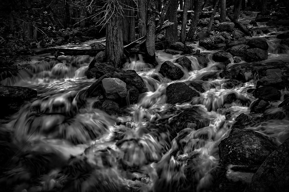 Rushing mountain stream with rocks and trees, black and white | Doug Heslep Fine Art Collection.