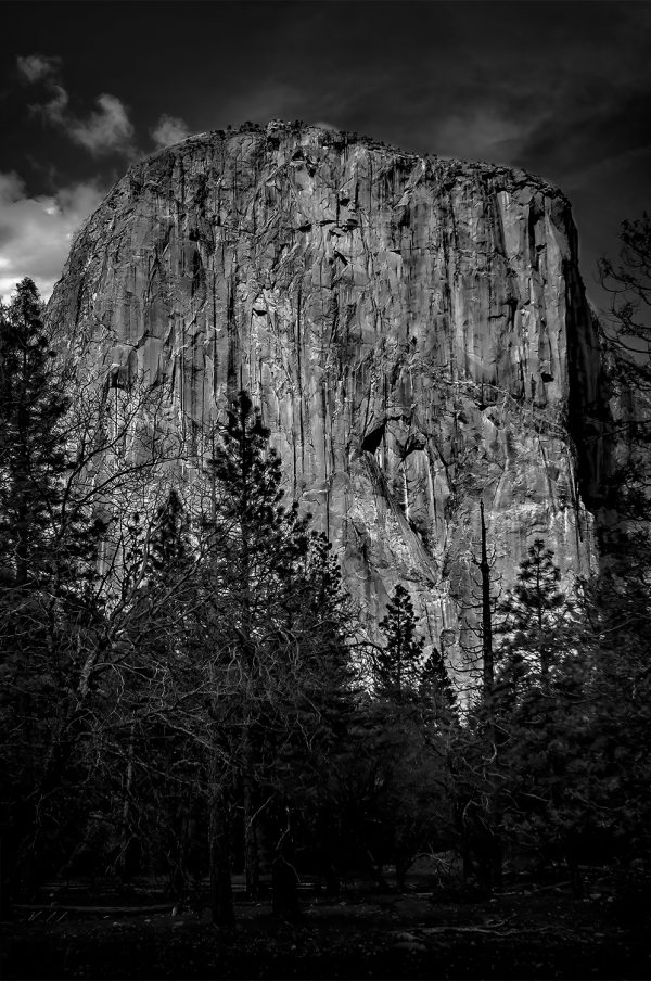 A towering granite El Capitan in Yosemite National Park, captured in black and white, showcasing dramatic natural beauty.