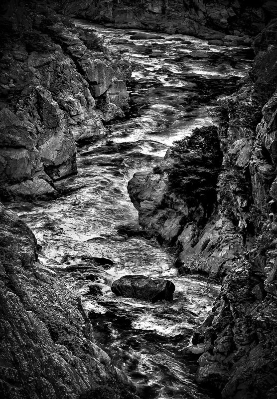 roaring mountain river in black and white artwork