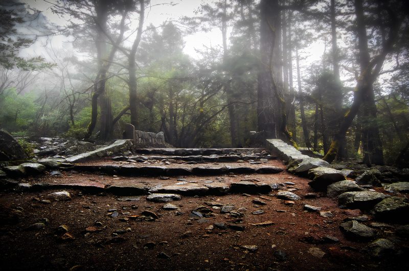 Rocky forest trail, misty trees, nature landscape, scenic outdoor hiking scene, The Doug Heslep Fine Art Collection.