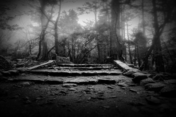 Mysterious forest trail in black and white, enchanting woods scene, part of The Doug Heslep Fine Art Collection.