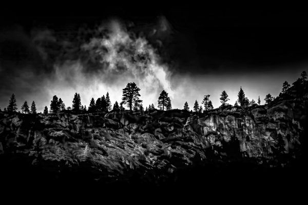 Majestic mountain landscape with pine trees under cloudy sky, in black and white.