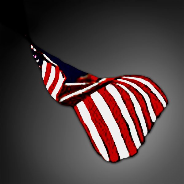 American flag artwork symbolizing patriotism and love for the USA.