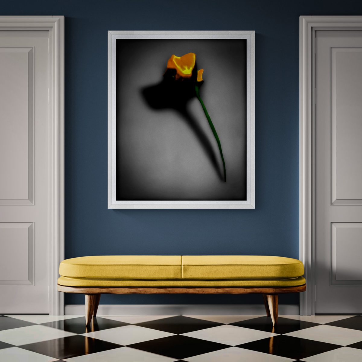 Yellow flower casting a shadow on a dark background.