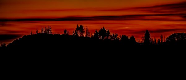 Silhouette of trees during a vivid red sunset, part of the Doug Heslep Fine Art Collection.