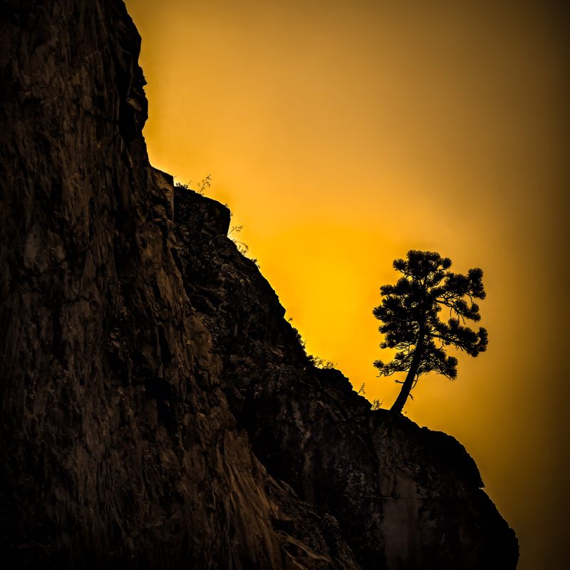 Vibrant sunset over rugged cliffs with a lone pine, showcasing The Doug Heslep Fine Art Collection, nature-inspired landscape art.