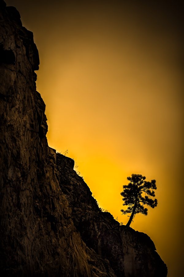Cliffside landscape with lone pine tree at sunset, The Doug Heslep Fine Art Collection, nature and mountain artwork, serene mountain scene.