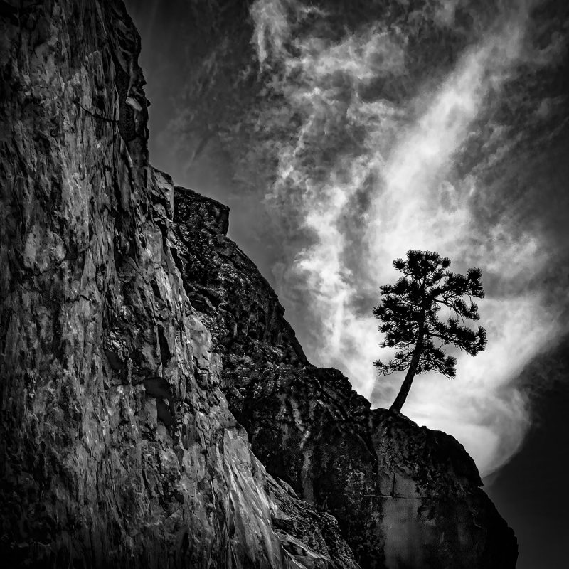 Rugged mountain cliff with solitary pine tree, black and white landscape art, The Doug Heslep Fine Art Collection.