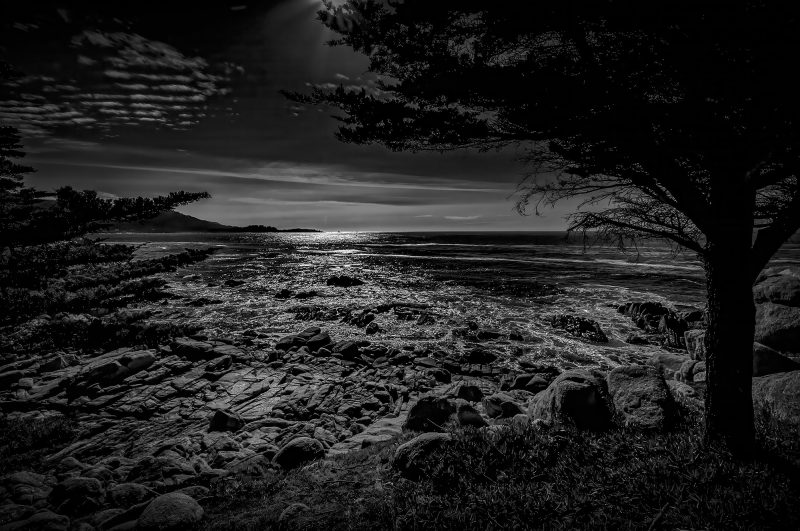 Mystic black and white seascape with rocky shoreline, dramatic sky, and silhouetted tree, showcasing The Doug Heslep Fine Art Collection.