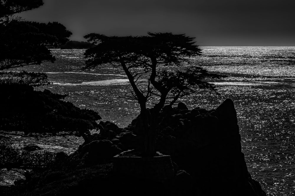 Silhouetted trees on rocky coastline illuminated by glittering ocean reflection, part of The Doug Heslep Fine Art Collection.