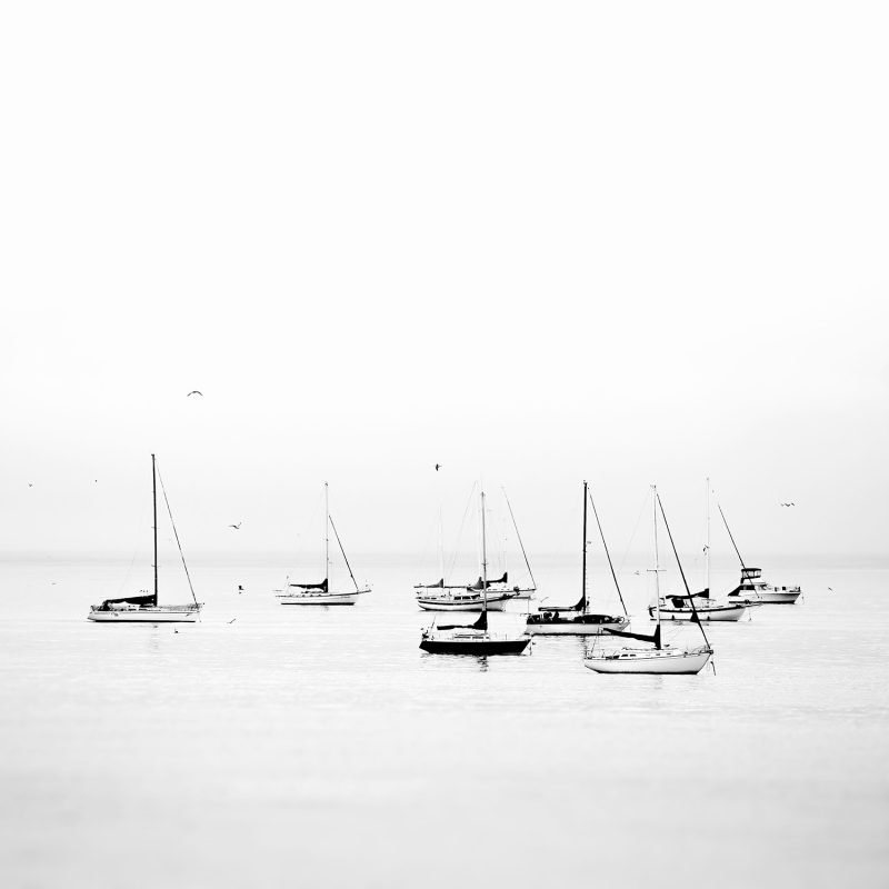 Sailboats on calm water in black and white, fine art photography.