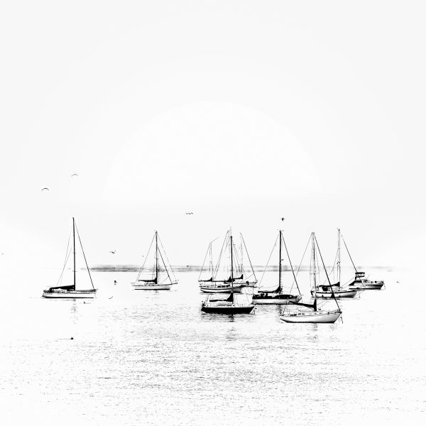 Serene black-and-white sailboats on calm water, part of the Doug Heslep Fine Art Collection.