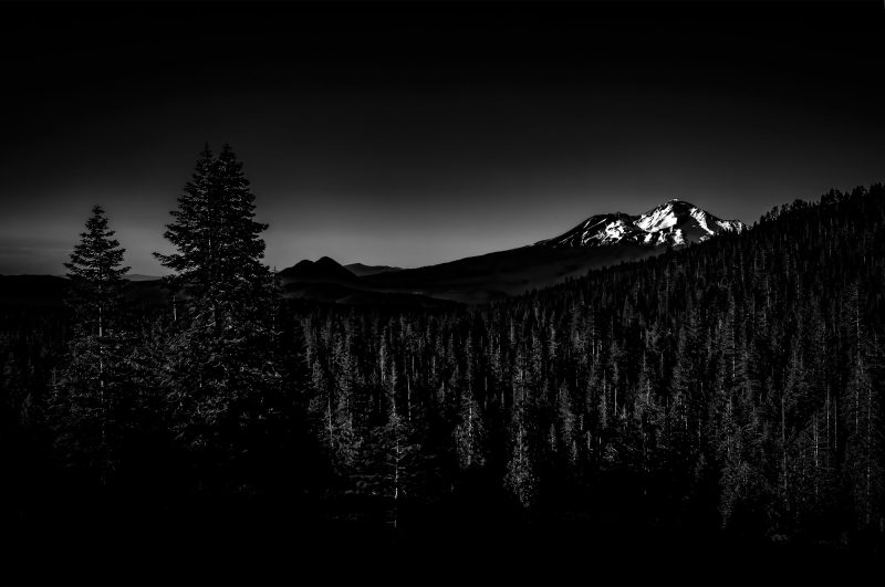 Majestic mountain landscape in black and white, featuring snow-capped peaks and dense pine forests.
