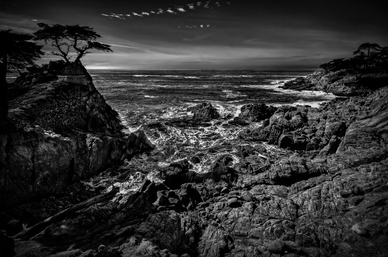 Rugged rocky coastline with trees overlooking the ocean in black and white, part of The Doug Heslep Fine Art Collection.