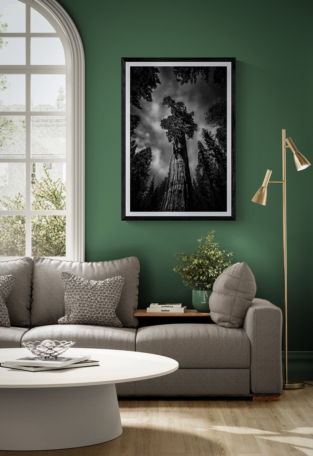 Majestic forest tree black and white photograph for fine art collection.