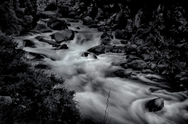 The King's River flowing briskly after the snow melt