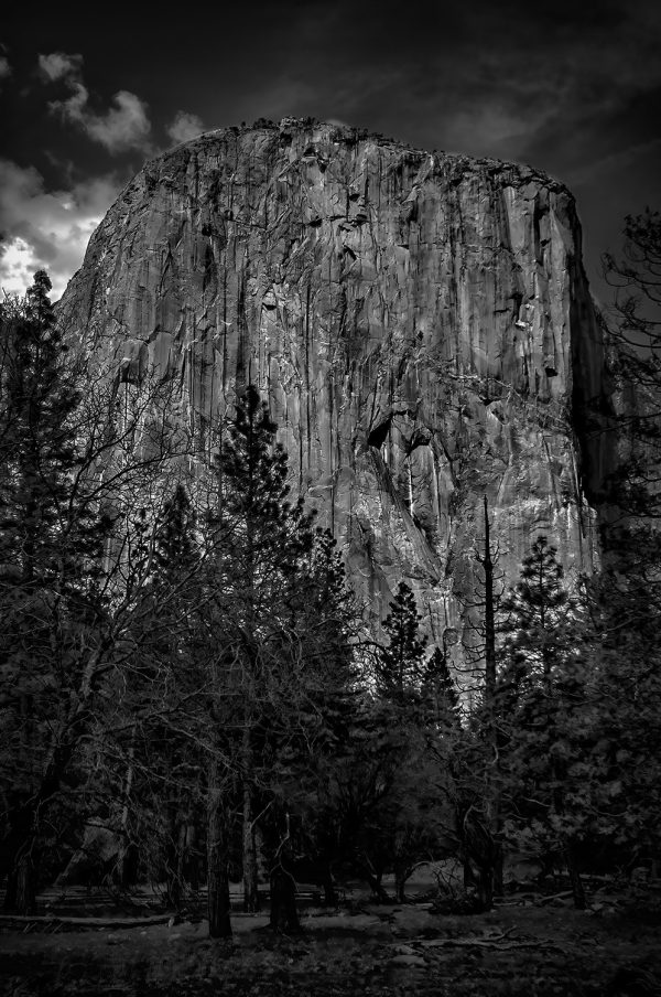 A direct view of El Capitan in Yosemite National Park.