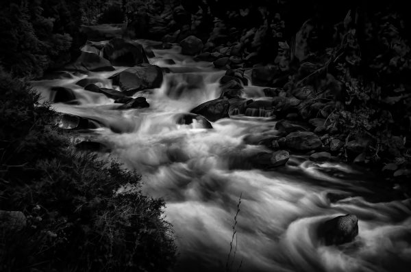 The King's River rushing swiftly after the snowmelt.