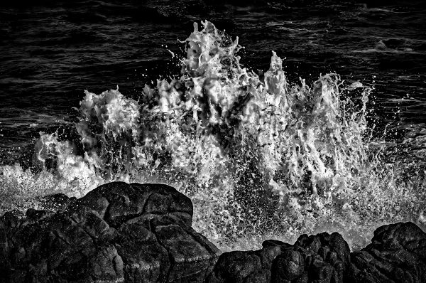 Crashing waves on the Pacific Grove coastline.