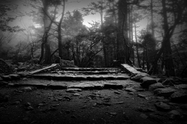 A hand-crafted stone bridge on a misty morning.