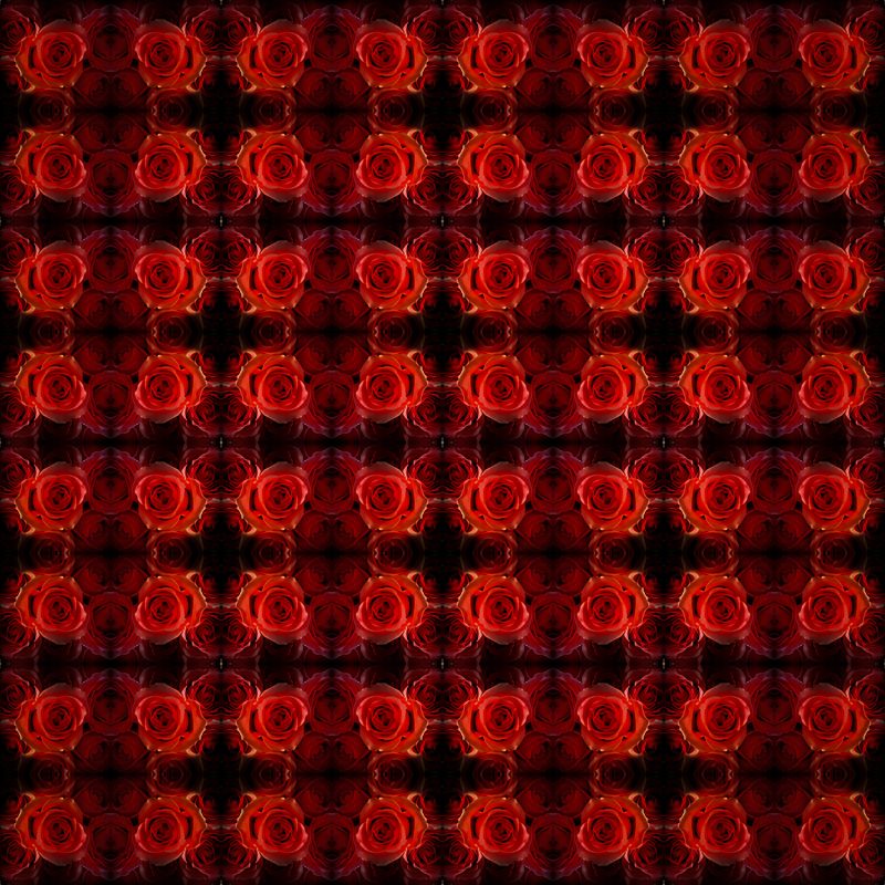 A black background with multiple red roses in a pattern.