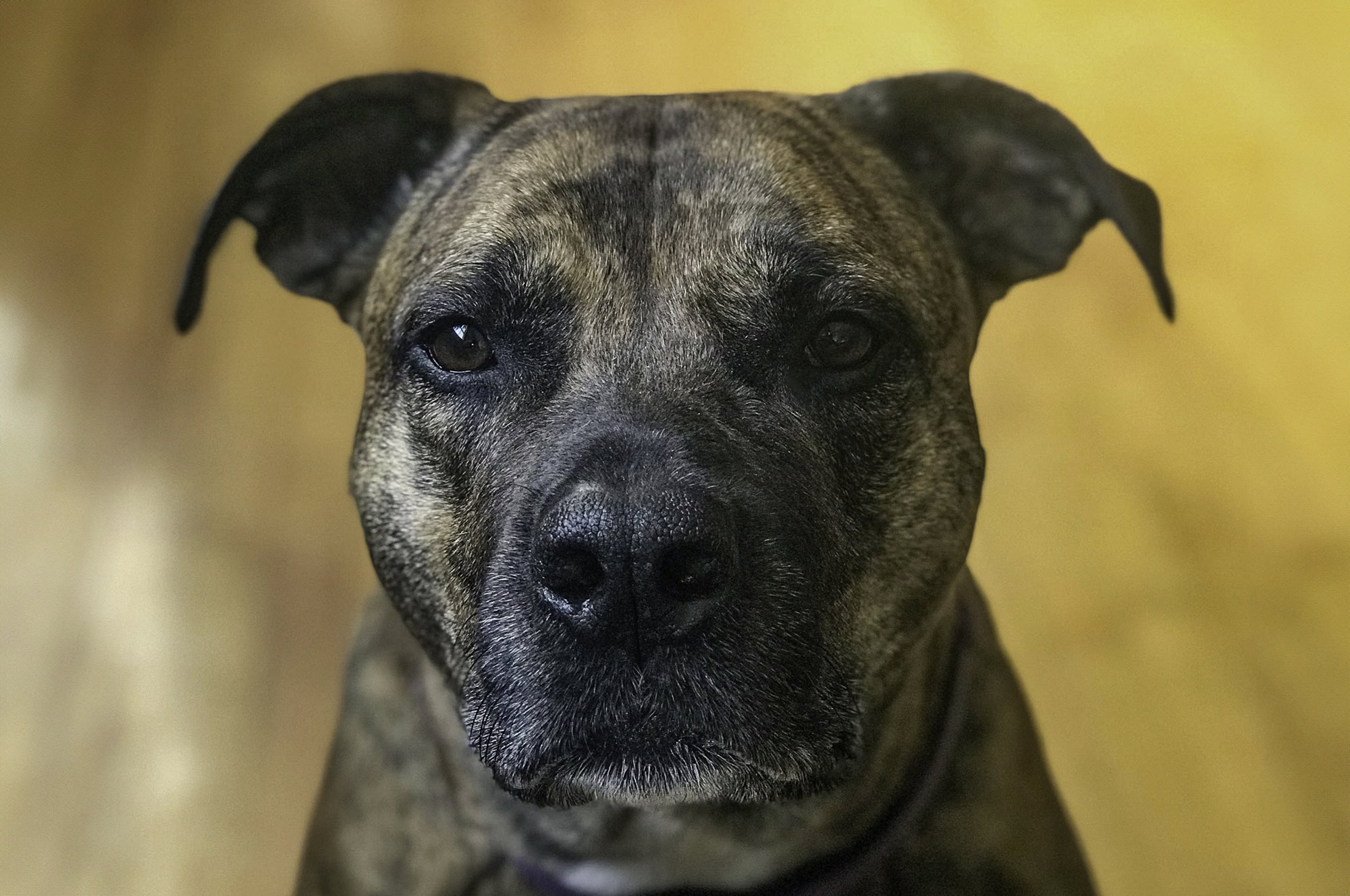 Scenic Landscape Photography Doug Heslep Photography